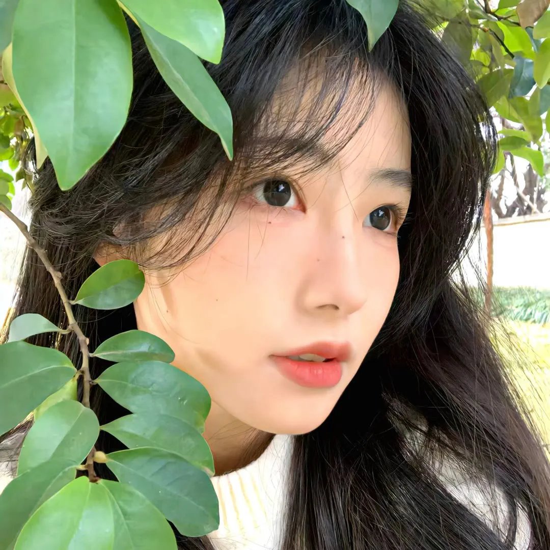 美丽国度